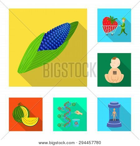 Vector Illustration Of Test And Synthetic Icon. Set Of Test And Laboratory Stock Vector Illustration