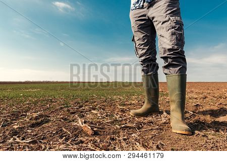 Farmer Planning Agricultural Activity In Field, Man In Rubber Boots Standing On Farmland Ground
