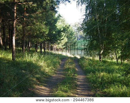 Dirt Road Through The Mixed Forest To The Lake.