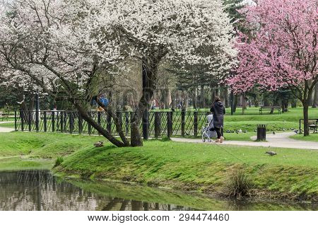 Cityscape - Mom And Child Are Walking In The Spring City Park