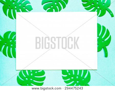 Flatlay Background Of Monstera Leaves Is Colorful And White Blank With Copy Space Top Of View. Tropi