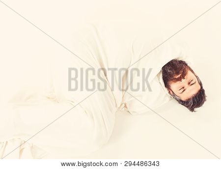 Hipster With Beard Fall Asleep, Wrapped In Blanket Like Cocoon.