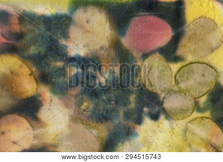 Botanical Print With Leaf Prints On Natural Silk. Hand-drawn Illustration.