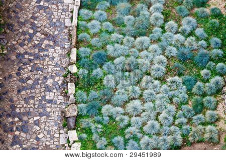 ถนน cobbled และรูปแบบของพืชสีเขียวในซานจิออร์จิโอปราสาทในลิสบอน โปรตุเกส
