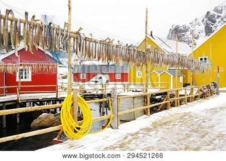 Nussfjord village, Lofoten Islands. Norway`s historic fishing village  on the water, Europe