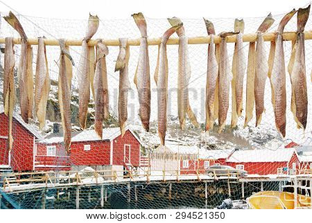 Nussfjord village, Lofoten Islands. Norway`s historic fishing village  on the water, Europe