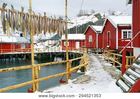 Nussfjord village, Lofoten Islands. Norway`s historic fishing village  on the water, Europe