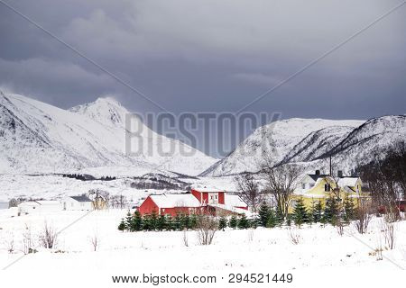Winter harsh landscape in Lofoten Archipelago, Norway, Europe