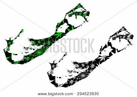 Bermuda - Map Is Designed Cannabis Leaf Green And Black, Bermuda Island Map Made Of Marijuana (marih