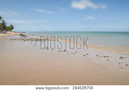 Calm Beach With Seaweed And Rocks On Sand Of Praia Do Bessa Beach, Joao Pessoa Pb, Brazil.