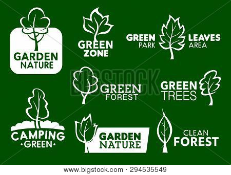 Nature Green Leaf Vector Photo Free Trial Bigstock