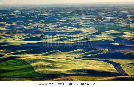 Modelli di verde grano campi nero aratura terreni e aziende agricole da Steptoe Butte Palouse nello stato di Washington