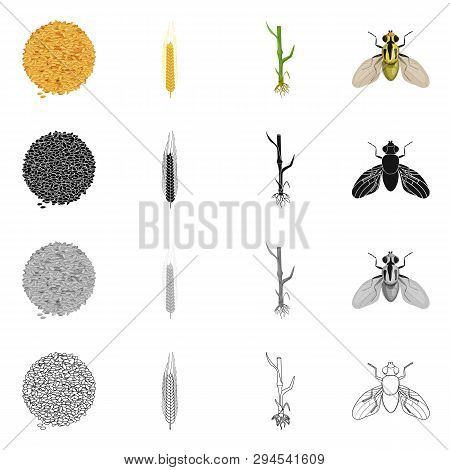 Vector Illustration Of Agriculture And Farming Icon. Set Of Agriculture And Plant  Vector Icon For S