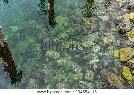 Underwater Shoreline Rocks