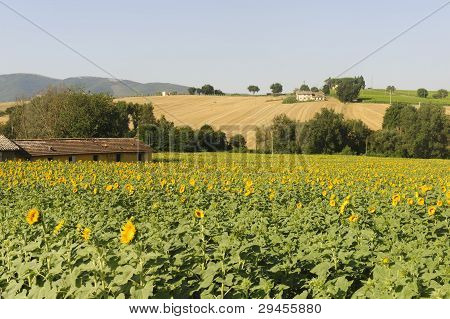 Paisaje en Umbría, cerca de Todi