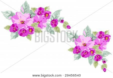 vetor de rosas