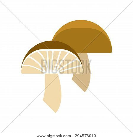 White Mushroom Illustration. Picnic, Barbeque, Outside. Grill Party Concept. Vector Illustration Can