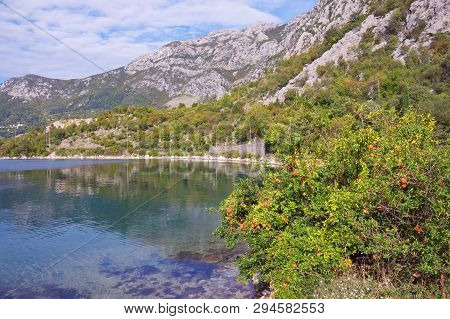 Beautiful Autumn Mediterranean Landscape.  Montenegro, Adriatic Sea, View Of Kotor Bay Near Risan To
