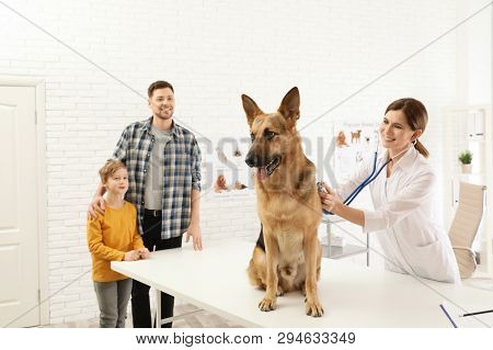 Father And Son With Their Pet Visiting Veterinarian In Clinic. Doc Examining Dog