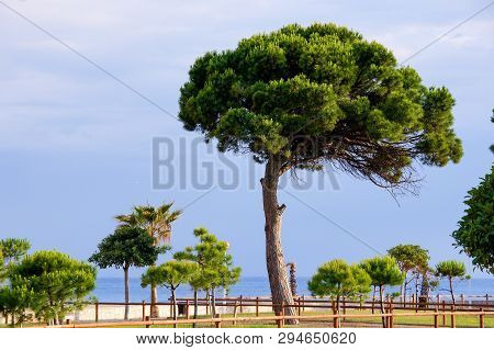 Embankment In Cambrils Costa Dorada Catalonia Spain