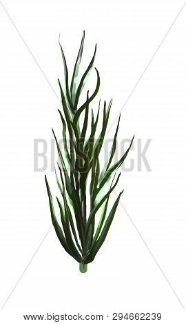 Botanical Clipart. Set Of Green Leaves, Herbs And Branches. Floral Design Elements. Perfect For Wedd