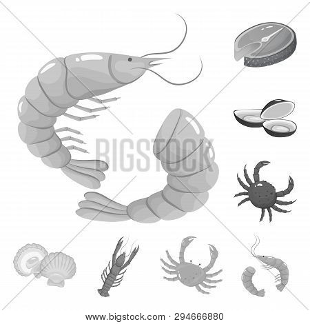 Vector Design Of Seafood And Healthy Symbol. Set Of Seafood And Ocean Stock Vector Illustration.