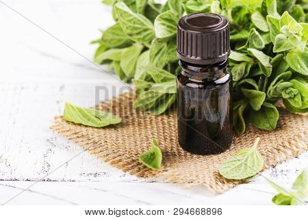 Oregano Essential Oil And Fresh Oregano On White Wooden Background. Copy Space