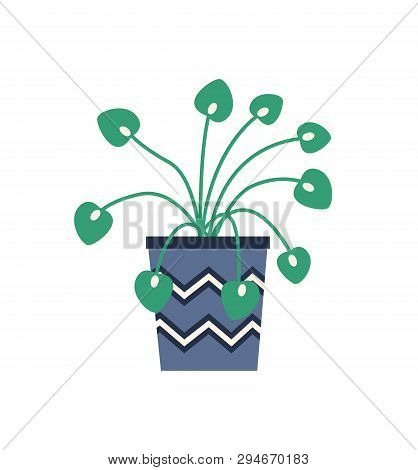 Plant Growing In Container For Flowers Vector, Isolated Houseplant With Long Stems And Foliage. Fron