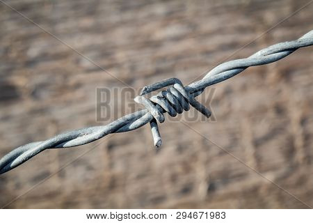 This Is A Detail Of A Barbed Wire