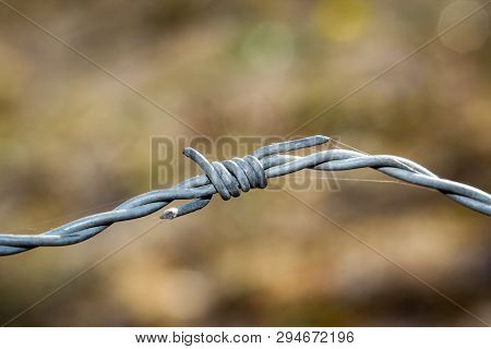 This Is A Detail Of A Barbed Wire