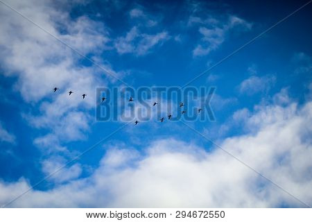 The Beautiful Blue Sky With Birds In The Air
