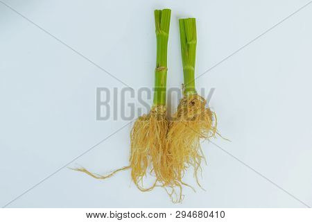 Fresh Green Celery Vegetable Of Celery Head On White Background With Cilpping Path