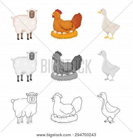 Vector Design Of Breeding And Kitchen  Logo. Set Of Breeding And Organic  Vector Icon For Stock.