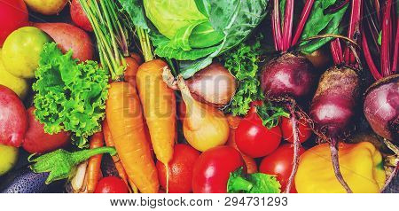 Different Bio Vegetables. Selective Focus. Food Nature.