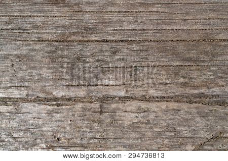 Material Board. Old Board Wood Texture. Natural Wood Material. Dry Cracked Board. Unpainted Construc