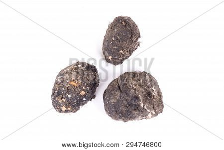 Owl - Bird Of Prey, Dropping