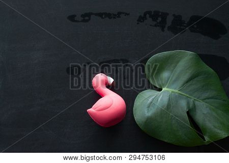 Top View Monstera Green Leaf And Flamingo Squishy Toy On Blackboard Copy Space