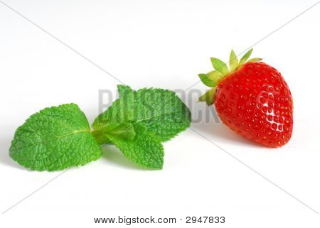 Çilek ve Menthe