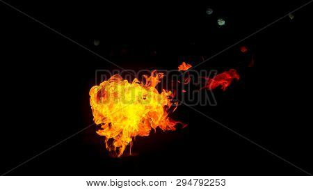 Fire In The Form Of Foxes And Birds. Fire Flames On Black Background. Fire On Black Background Isola