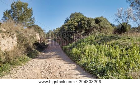 An Off Road Track For Trecking And Mountain Biking.
