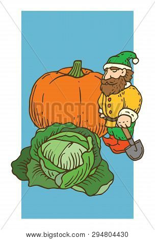 Postcard Template. Composition With Garden Gnome, Cabbage And Pumpkin On Bluel Background With White