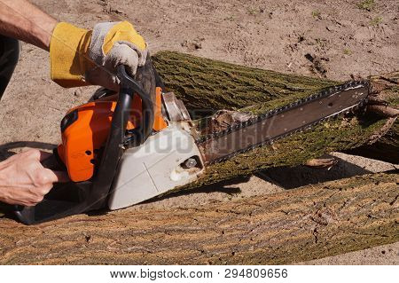 Lumberjack Holding A Chain Saw. Gas-powered Chain Saw.