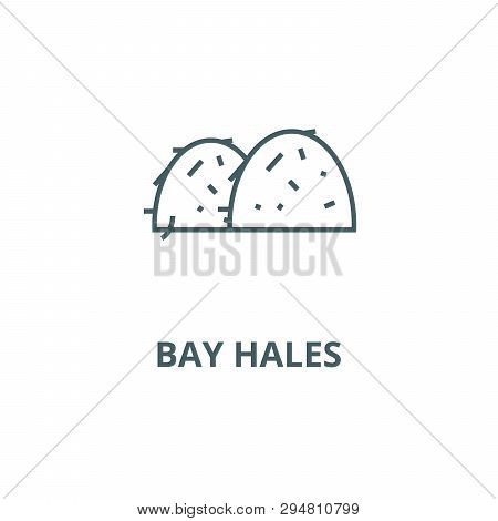 Bay Hales Line Icon, Vector. Bay Hales Outline Sign, Concept Symbol, Flat Illustration
