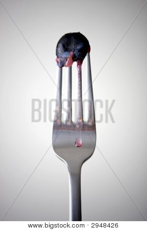 Borůvka