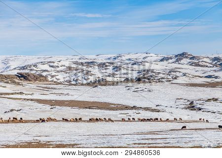 Winter North Xinjiangs , Sonw And Ice World, Xinjiang, China