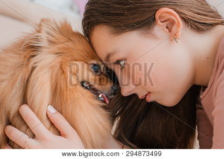 Teenage Girl With A Dog Breed Spitz Rejoices With A Pet At Home On The Floor. Care And Training Of A