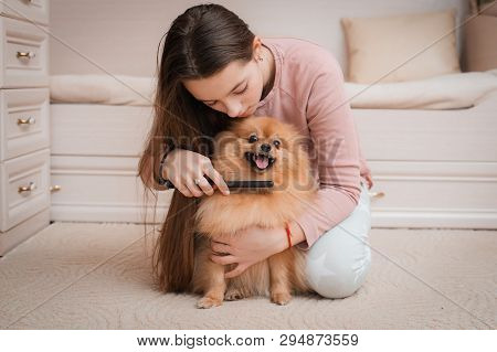 Teenage Girl With A Dog Breed Spitz Rejoices With A Pet At Home On The Floor. Care And Training Of A