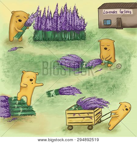 Bears Work At A Lavender Factory On A Summer Day