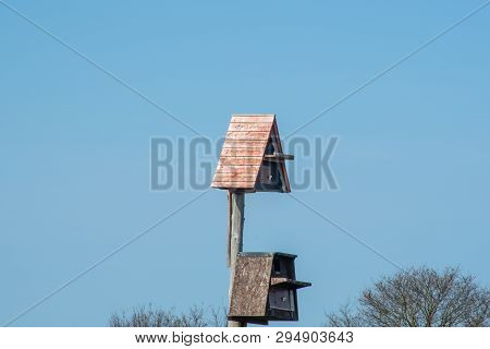 Large Birdboxes For Owls On  Conservation Site