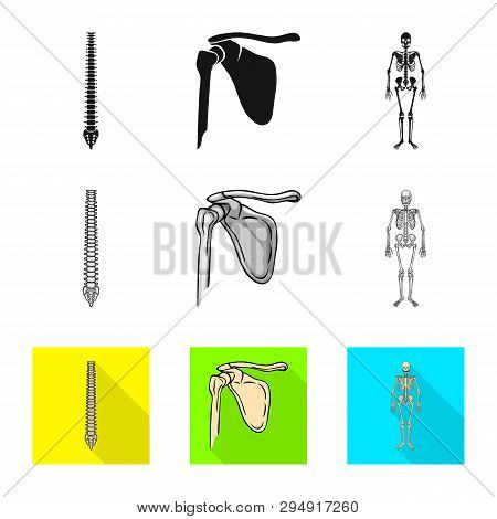 Vector Illustration Of Medicine And Clinic Icon. Set Of Medicine And Medical Vector Icon For Stock.